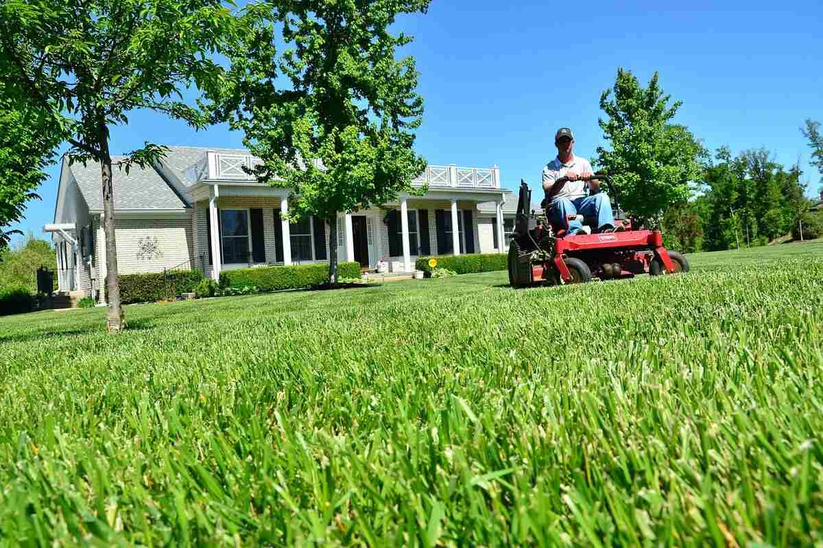 One-Time Lawn Mowing & Trimming Up to 1/2 Acre Residential Home